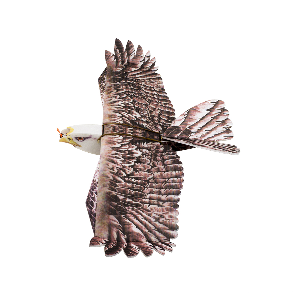 Rc Hobby Online - DW Hobby Eagle II EPP Flugzeug