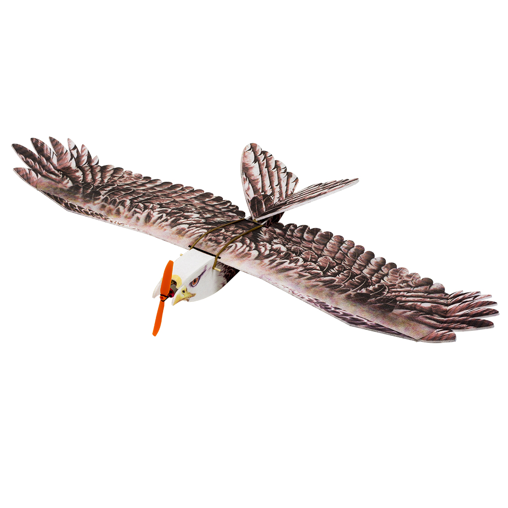 DW Hobby Eagle II EPP Flugzeug – Rc Hobby Online Bewertung und Preis