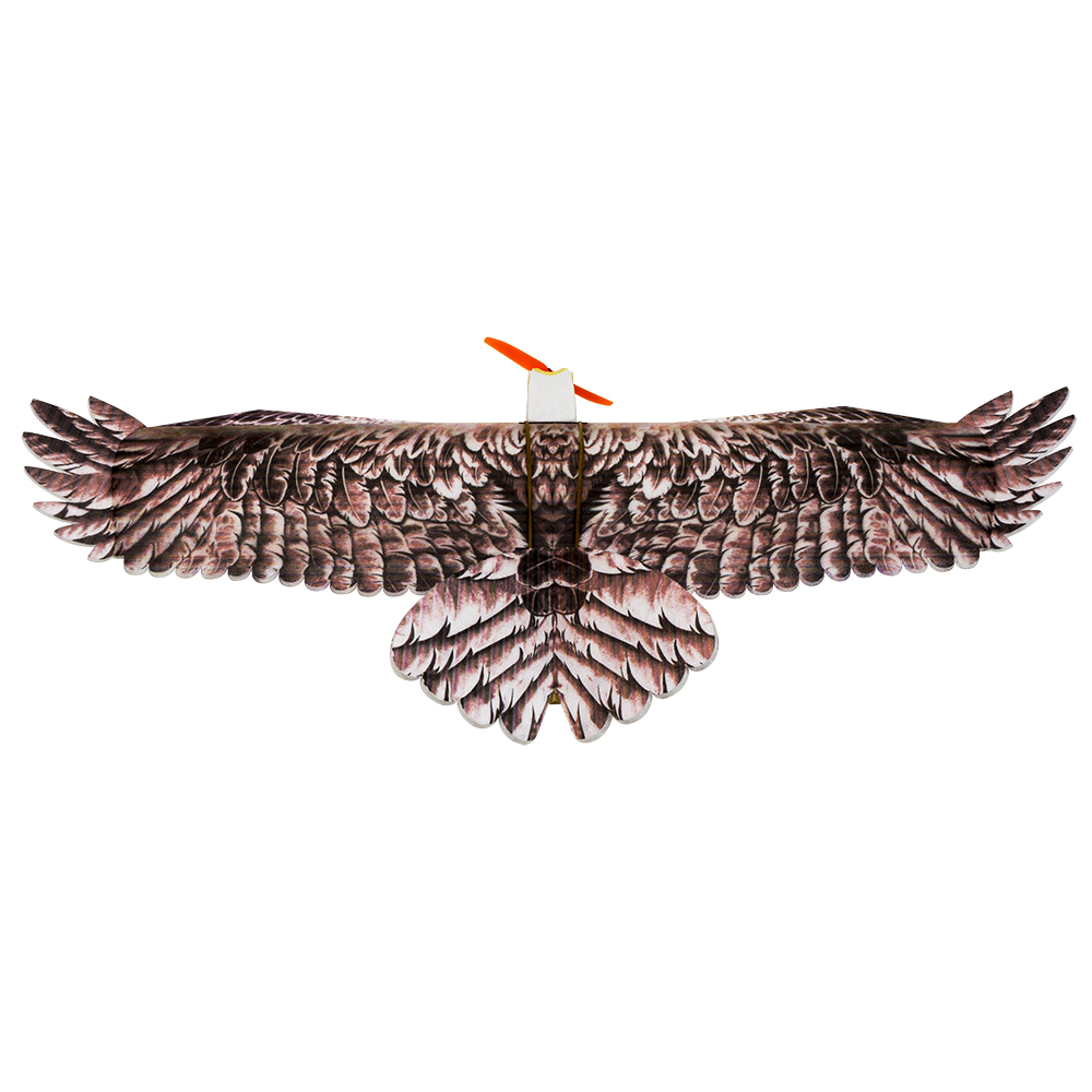DW Hobby Eagle II EPP Flugzeug – Rc Hobby Online Bewertung und Preis